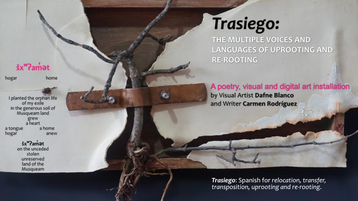 Visual art installation featuring a bare tree branch rooted in wooden and white materials, with text about "Trasiego" exploring themes of uprooting and re-rooting.