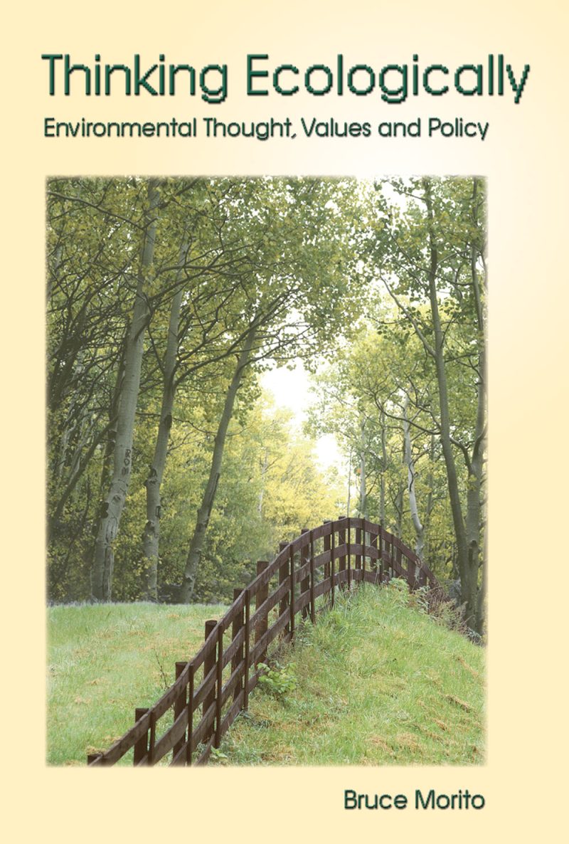 Book cover showing a wooden bridge pathway through a forest of tall trees with green grass and dappled sunlight.