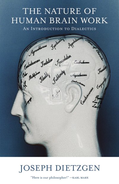 Book cover showing a profile of a human head with labeled brain functions including cognition, intuition, and speculation against a blue background.
