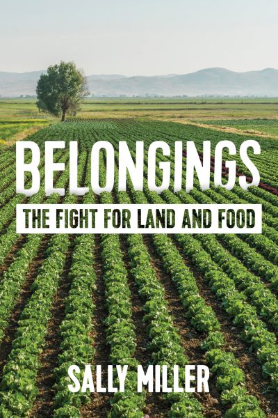Book cover "Belongings: The Fight for Land and Food" by Sally Miller, featuring agricultural fields with crop rows and a solitary tree.