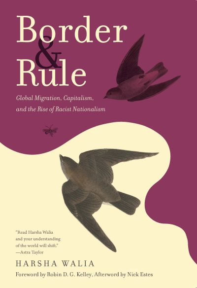 Book cover of "Border & Rule" by Harsha Walia featuring purple and cream sections with illustrated birds and text about global migration and capitalism.