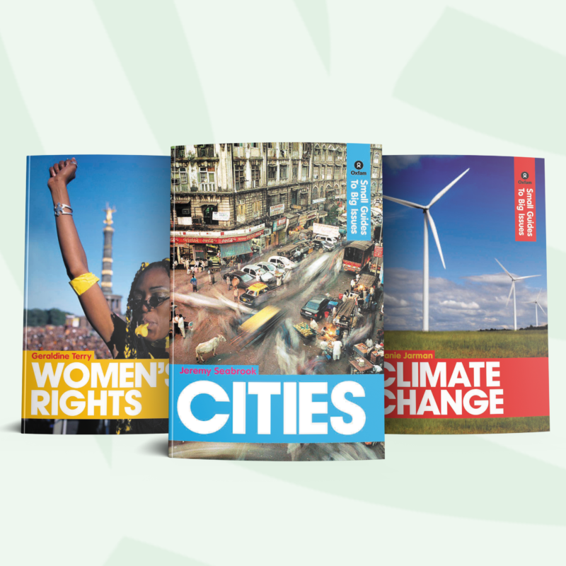 Three book covers from the "Small Guides to Big Ideas" series displayed: "Women Rights," "Cities," and "Climate Change."