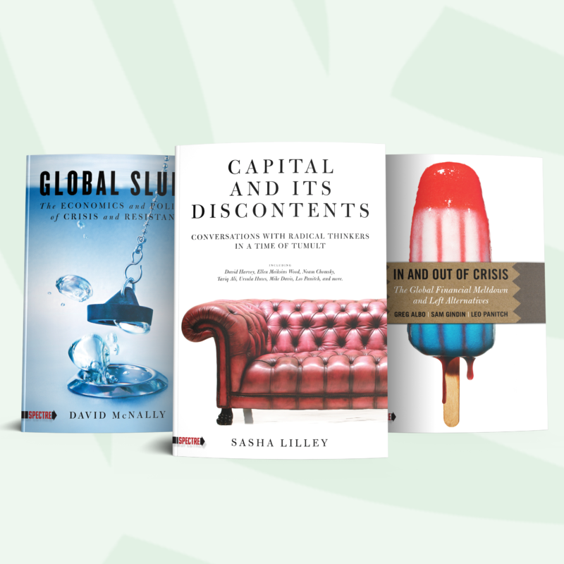 Three economics books displayed: "Global Slum" by David McNally, "Capital and Its Discontents" by Sasha Lilley, and "In and Out of Crisis" by Greg Albo, Sam Gindin, and Leo Panitch.