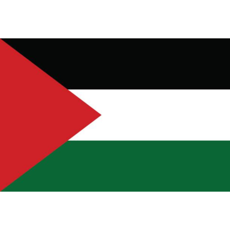 Palestinian flag with red triangle, white and black horizontal stripes, and green band.