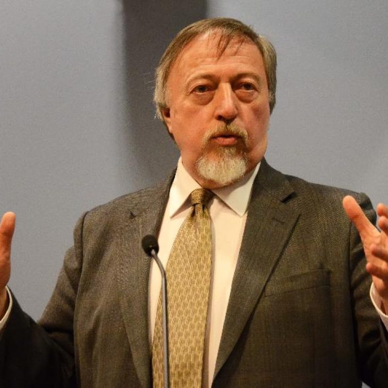A person with a beard wearing a brown suit and patterned tie speaks at a podium with hands raised expressively.